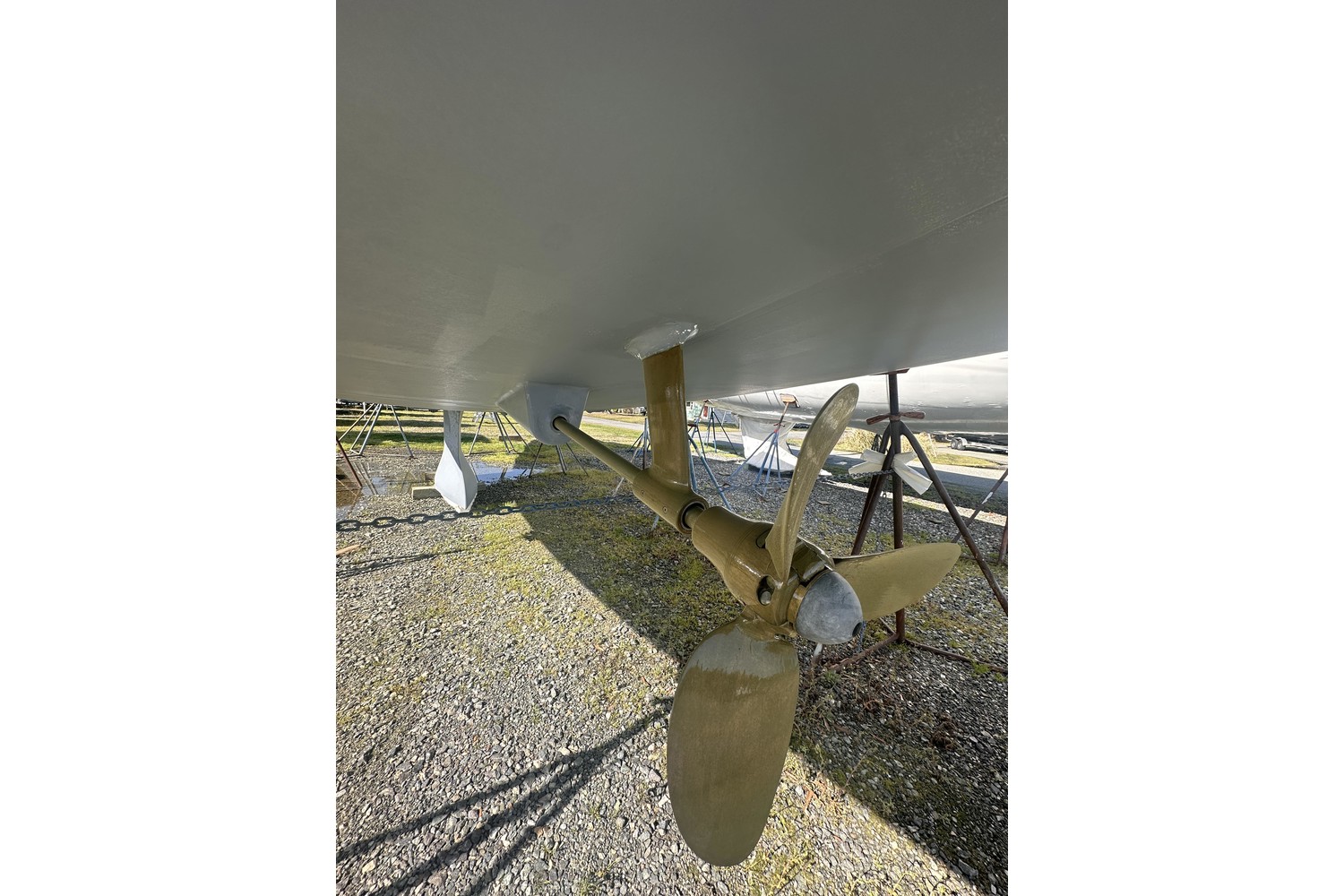 General image